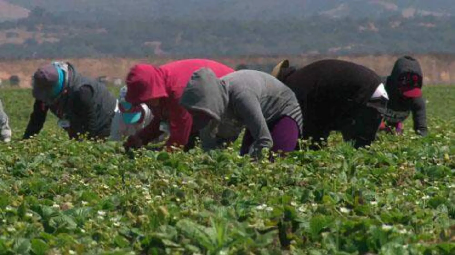 INDOCUMENTADOS OK